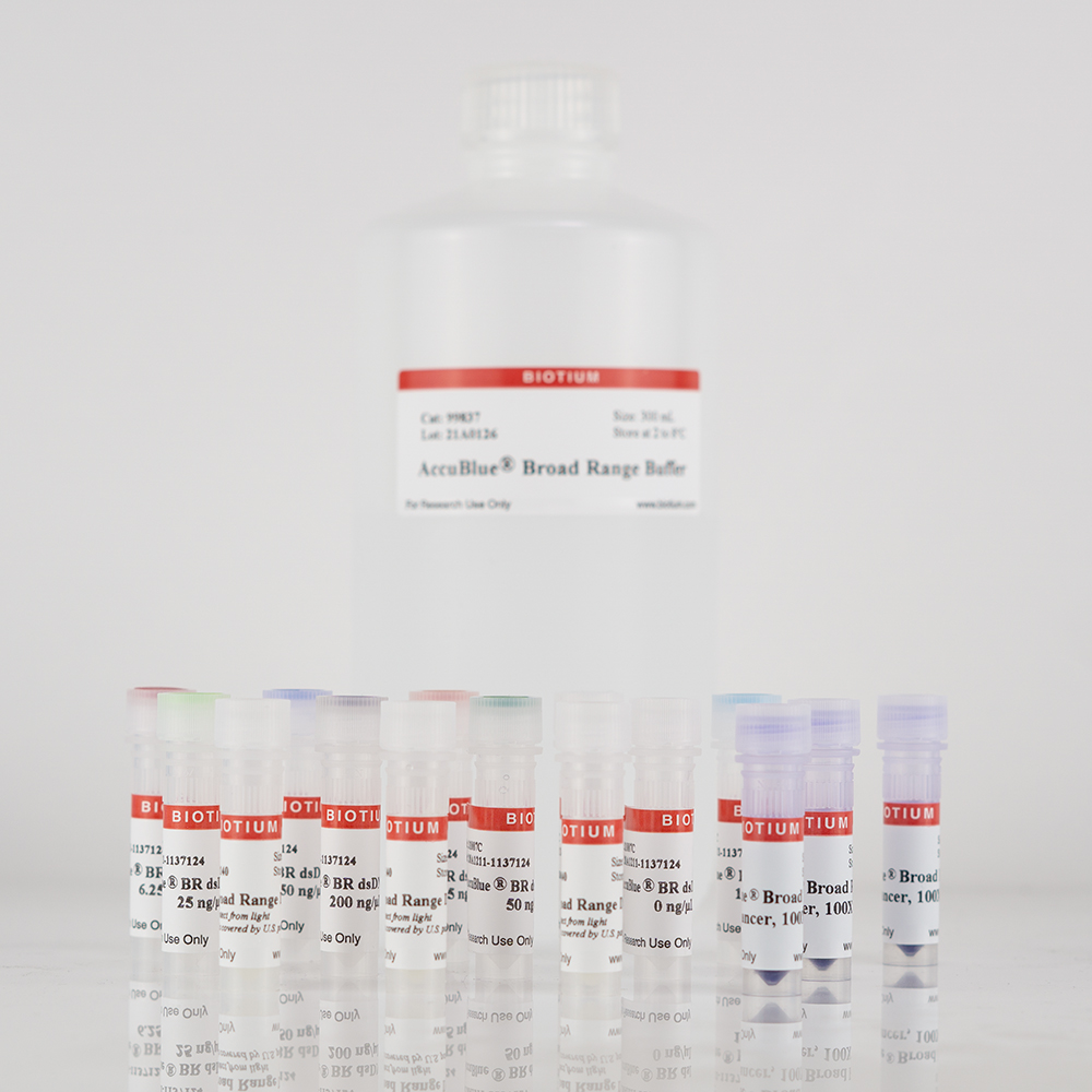 AccuBlue® Broad Range dsDNA Quantitation Kit with DNA Standard, trial size (200 assays)