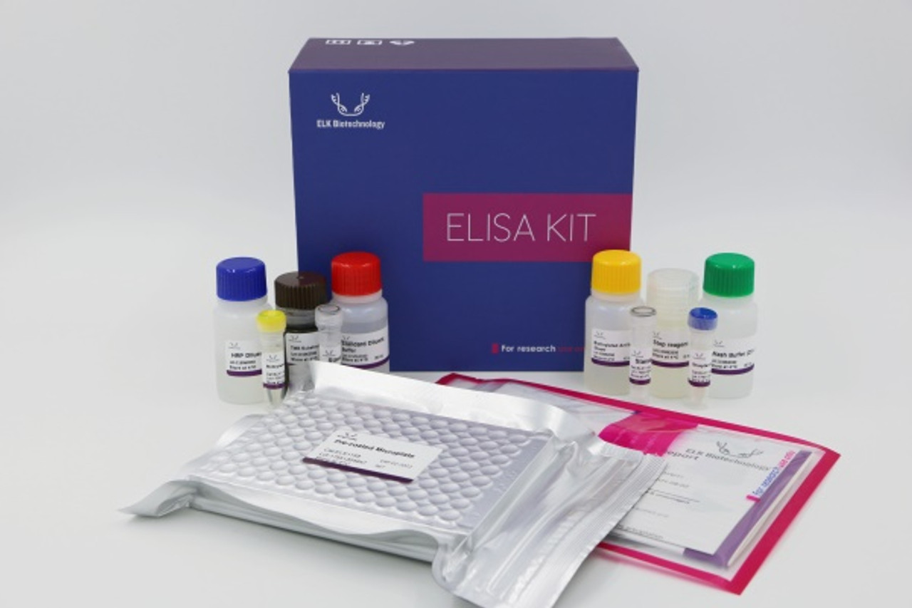 ELISA kit for Human VAMP2 (Vesicle Associated Membrane Protein 2)