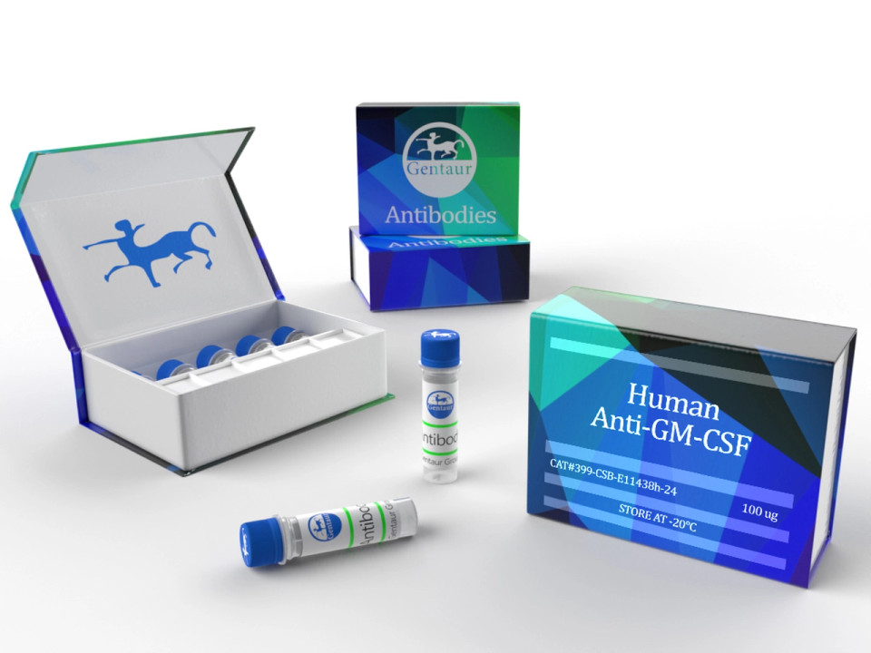QuantiChrom Hemoglobin Assay Kit